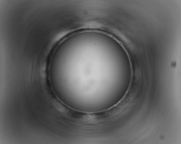 X0000103401315200809121233