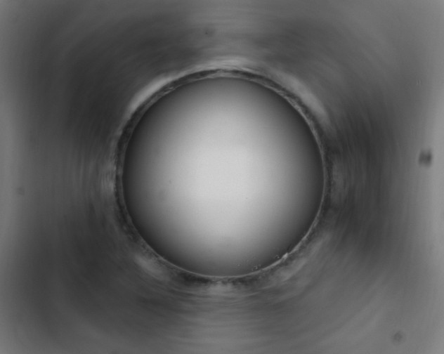 X0000103401316200809121233