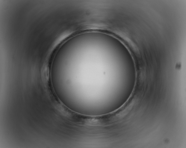 X0000103401317200809121233