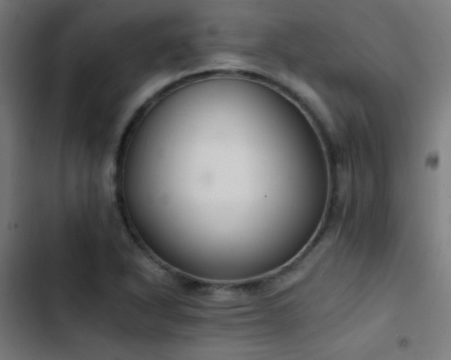 X0000103401318200809121233