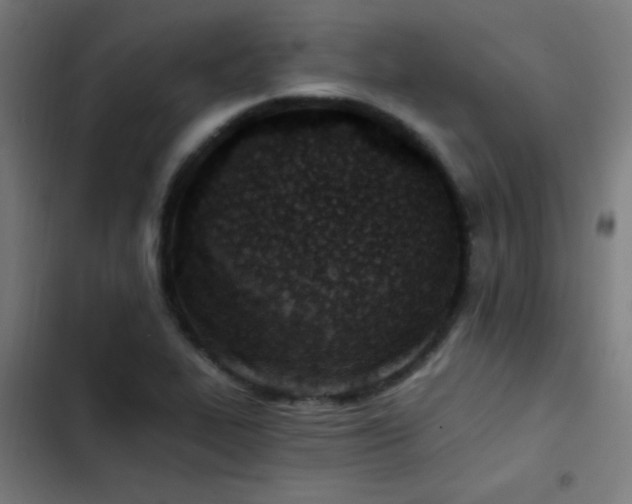 X0000103401319200809121233