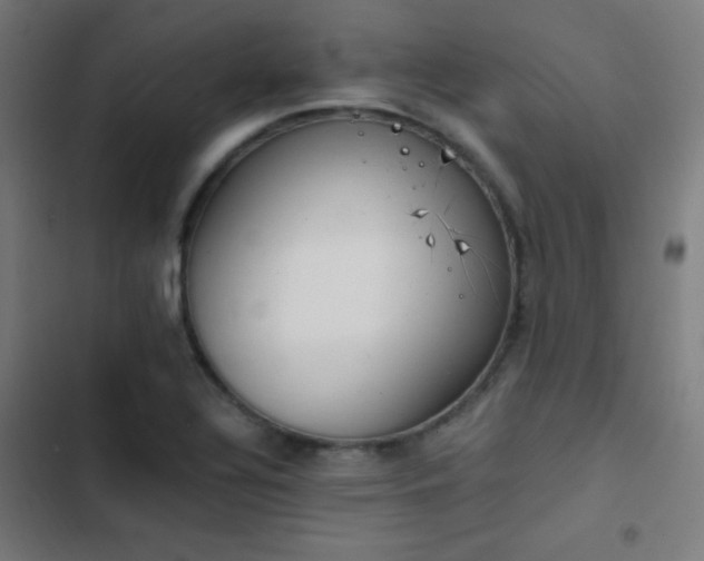 X0000103401320200809121233