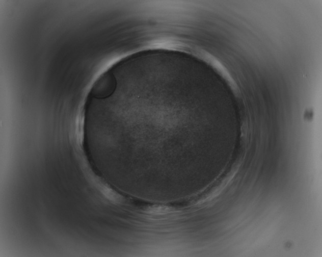 X0000103401323200809121233