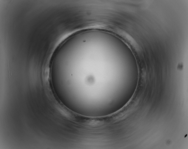 X0000103401324200809121233