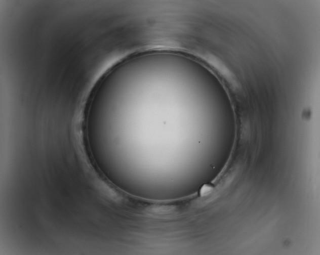 X0000103401325200809121233