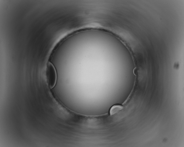 X0000103401326200809121233