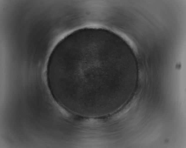 X0000103401327200809121233
