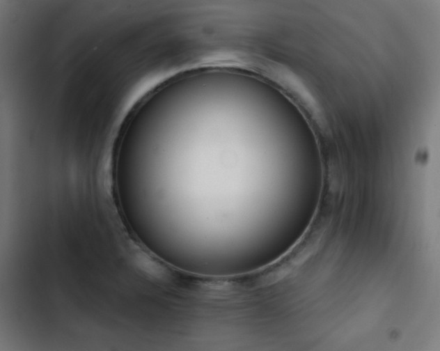 X0000103401328200809121233