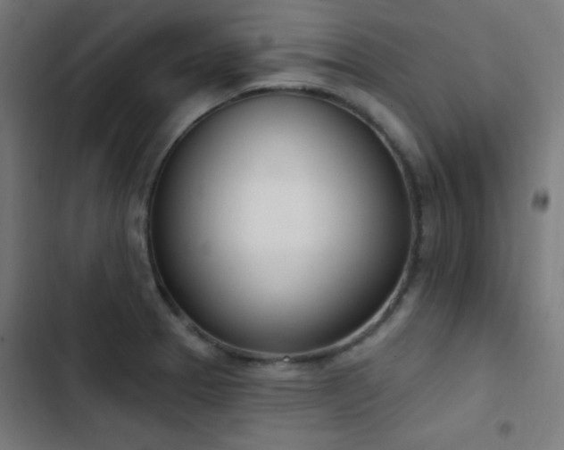 X0000103401329200809121233