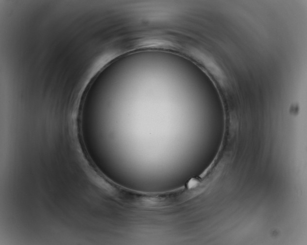 X0000103401330200809121233