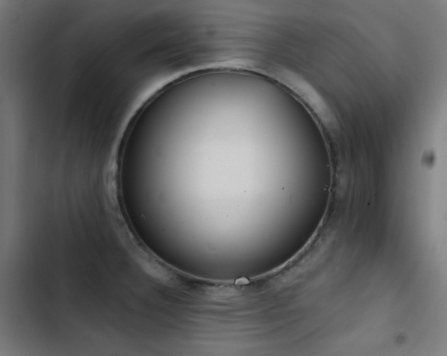 X0000103401332200809121233