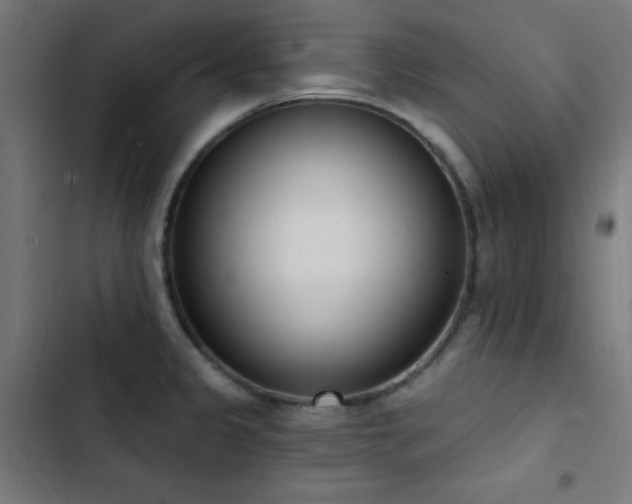 X0000103401333200809121233