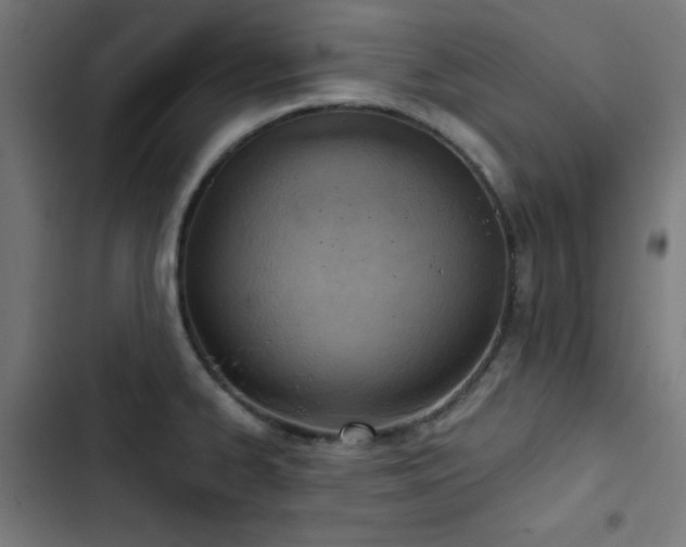 X0000103401334200809121233