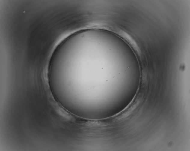 X0000103401336200809121233