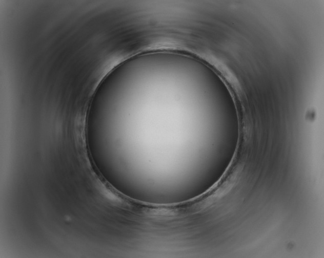 X0000103401337200809121233