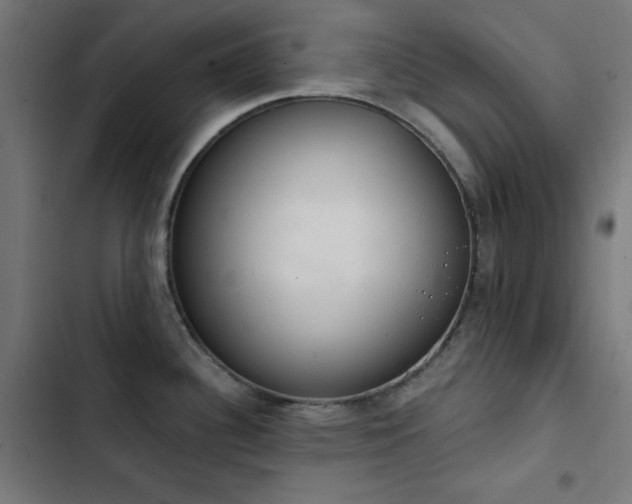 X0000103401340200809121233