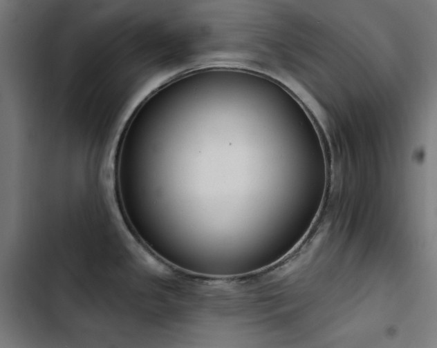 X0000103401341200809121233