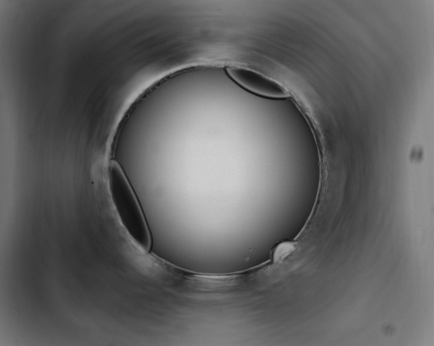 X0000103401344200809121234