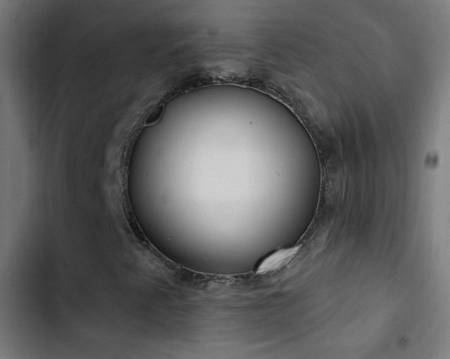 X0000103401345200809121233