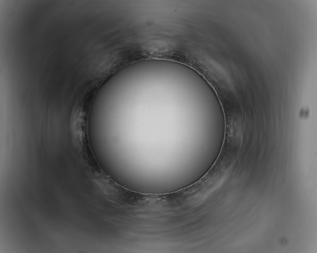 X0000103401346200809121233
