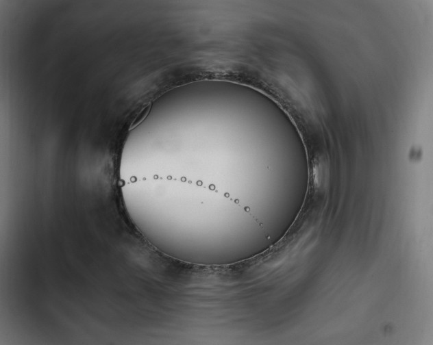 X0000103401347200809121233