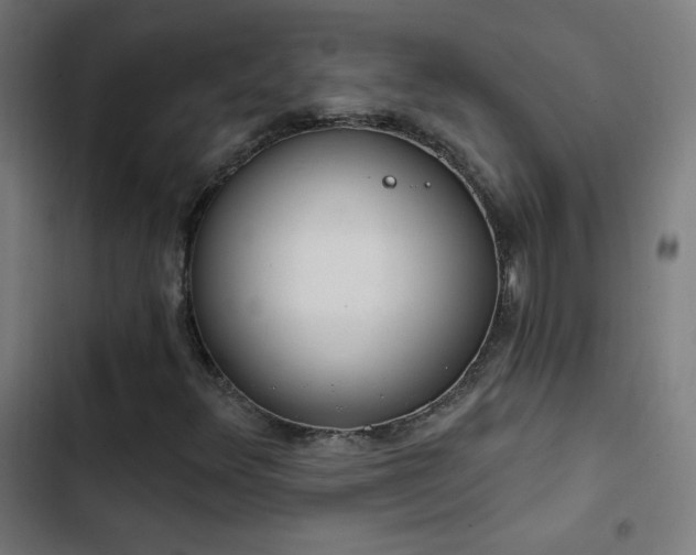 X0000103401348200809121233