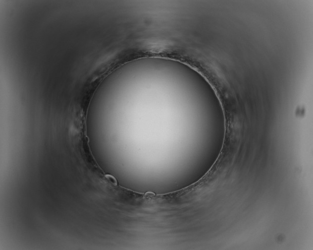 X0000103401349200809121233