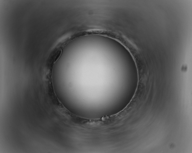 X0000103401351200809121233