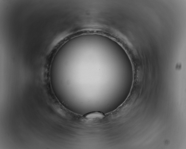 X0000103401352200809121233