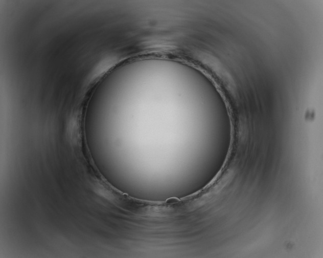 X0000103401354200809121233