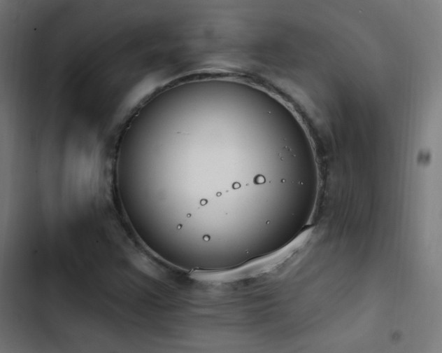 X0000103401355200809121233