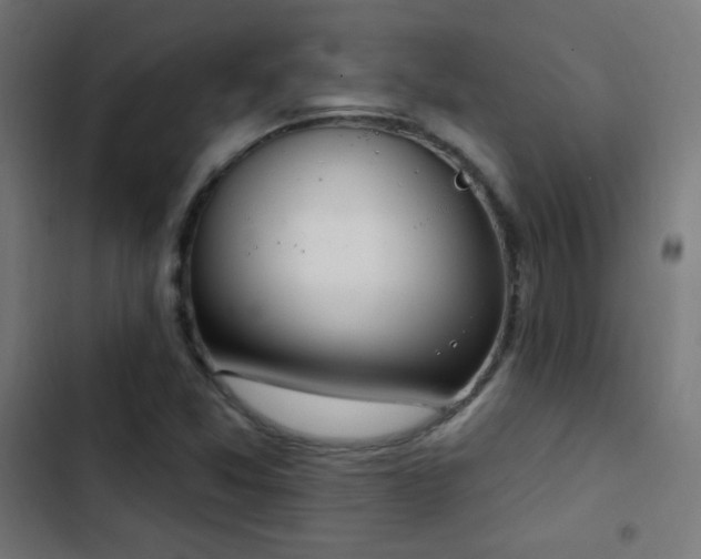 X0000103401357200809121233