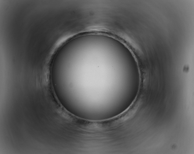 X0000103401358200809121232