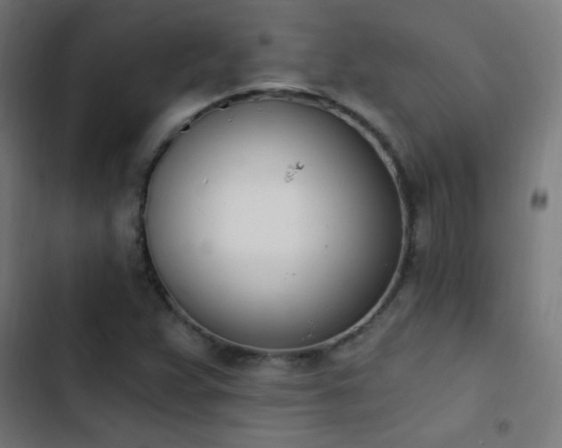 X0000103401359200809121232