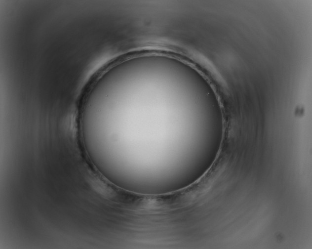 X0000103401360200809121232