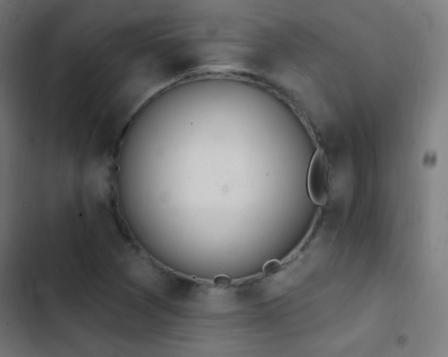 X0000103401361200809121232