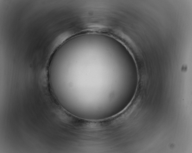 X0000103401362200809121232