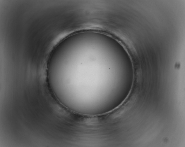 X0000103401363200809121232