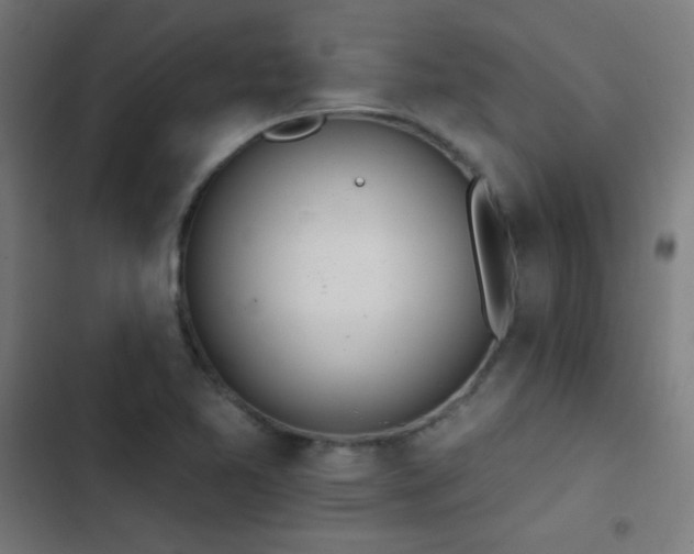 X0000103401365200809121232