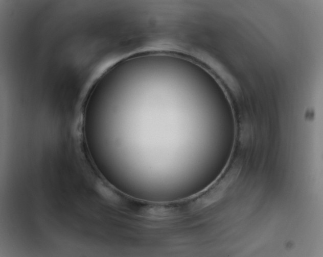 X0000103401366200809121232