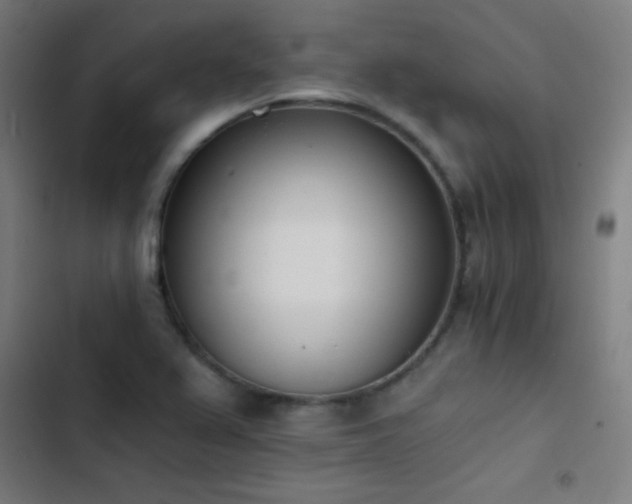 X0000103401367200809121232