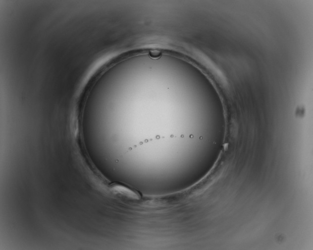 X0000103401368200809121232