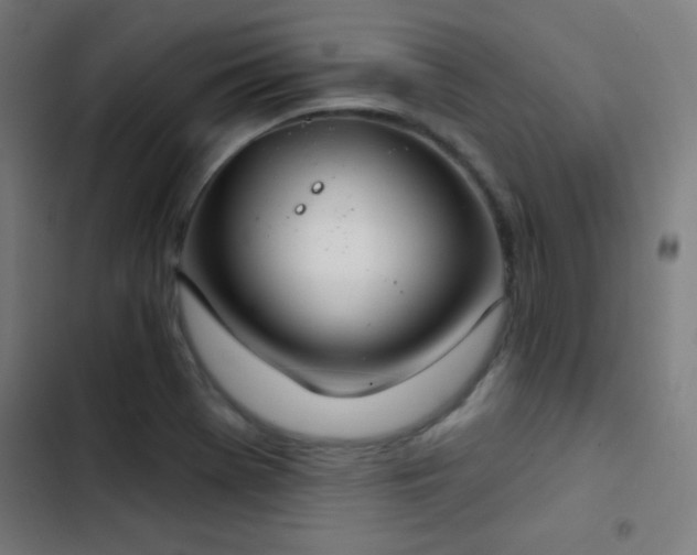 X0000103401369200809121232