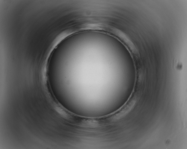 X0000103401370200809121232