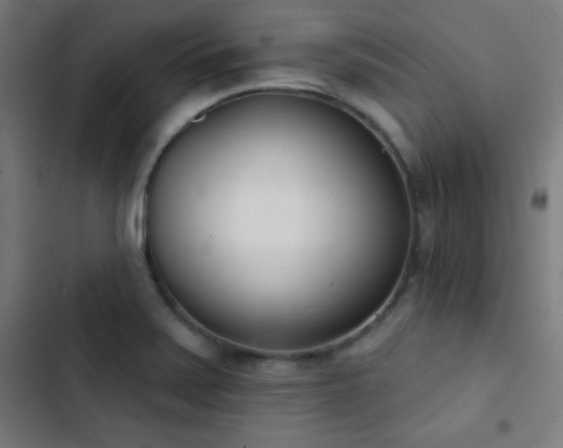 X0000103401371200809121232