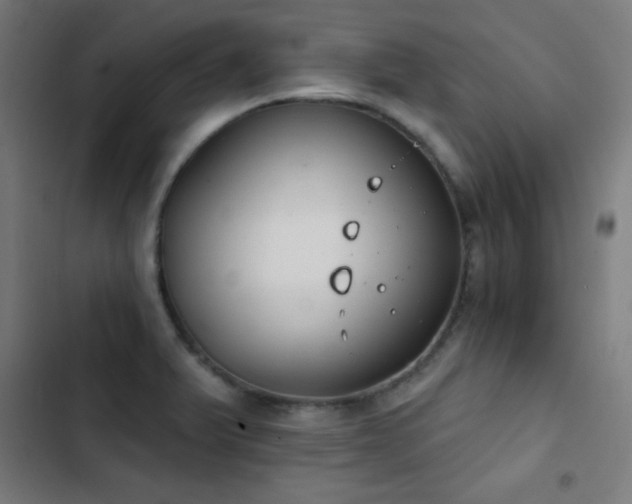 X0000103401375200809121232