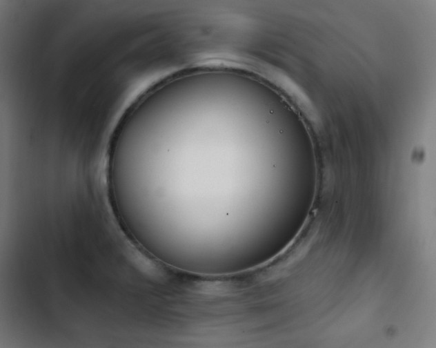 X0000103401376200809121232