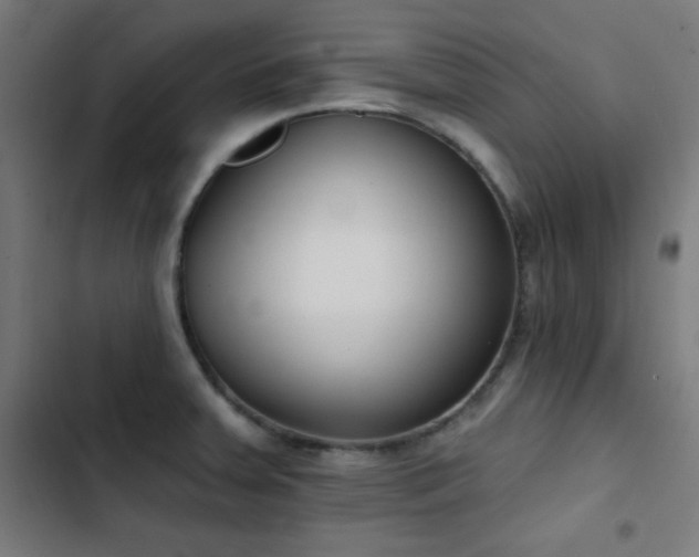 X0000103401379200809121232