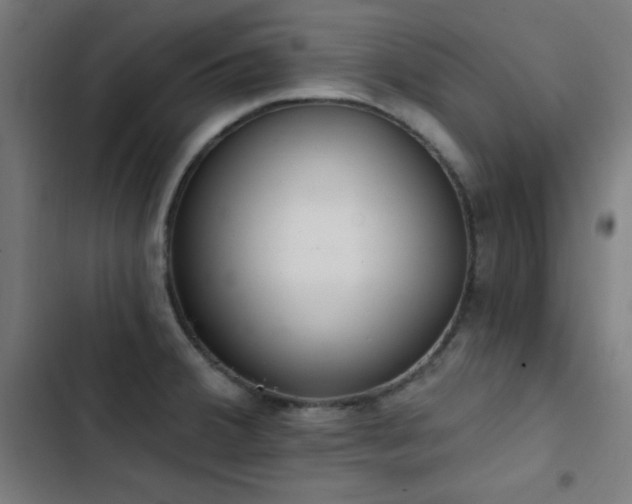 X0000103401380200809121232