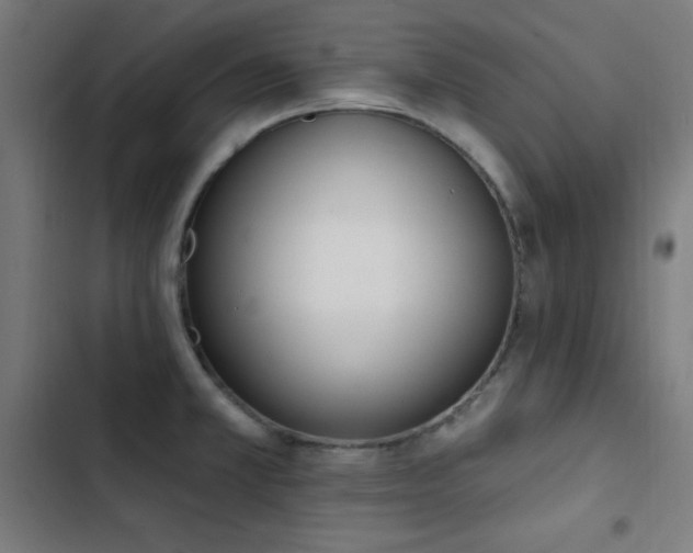 X0000103401381200809121232